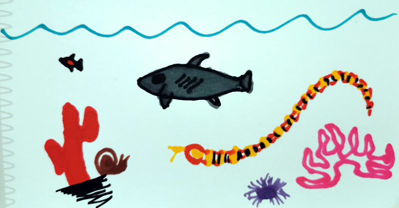 Ocean creatures